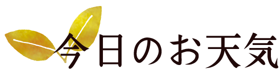 今日のお天気